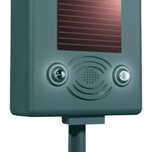 Genius Ideas GI-157905 Solar-Vogelschreck mit Abwehrton und Blitzlicht